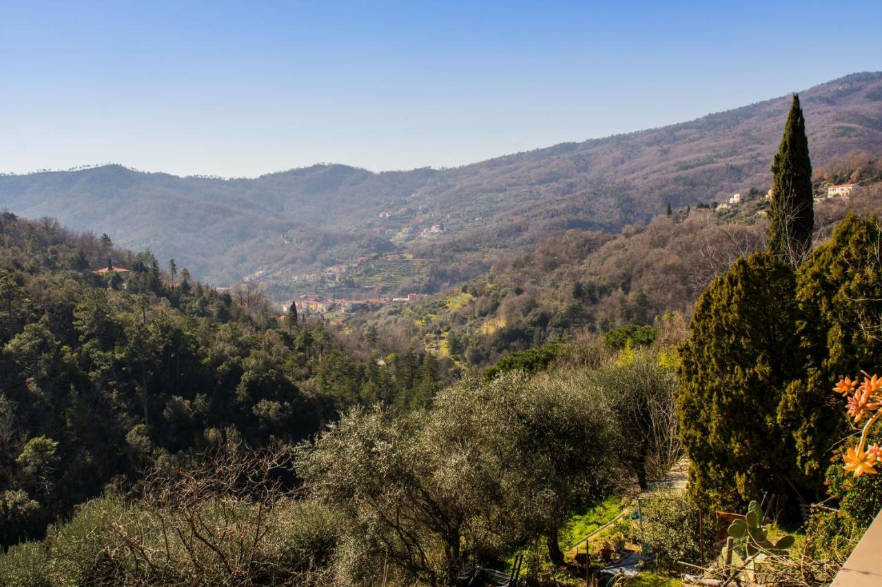 Agriturismo A Ca Vegia Calice Ligure Dış mekan fotoğraf
